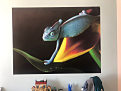 tapeta na mieru latexová 160x120cm